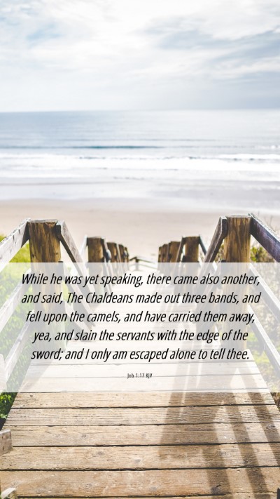 Picture 06 - Job 1:17 KJV Mobile Phone Wallpaper - While he was yet speaking, there came also - Mobile Bible Verse Wallpaper
