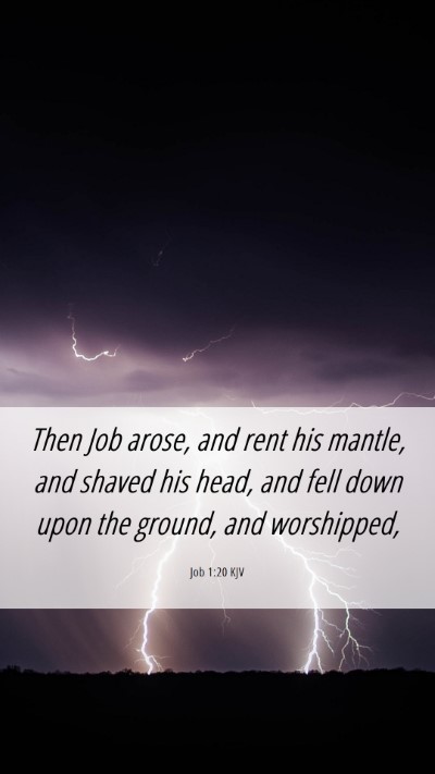 Picture 06 - Job 1:20 KJV Mobile Phone Wallpaper - Then Job arose, and rent his mantle, and shaved - Mobile Bible Verse Wallpaper