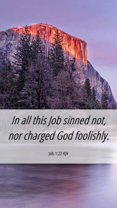 Picture 06 - Job 1:22 KJV Mobile Phone Wallpaper - In all this Job sinned not, nor charged God - Mobile Bible Verse Wallpaper