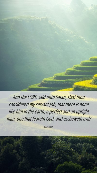 Picture 06 - Job 1:8 KJV Mobile Phone Wallpaper - And the LORD said unto Satan, Hast thou - Mobile Bible Verse Wallpaper