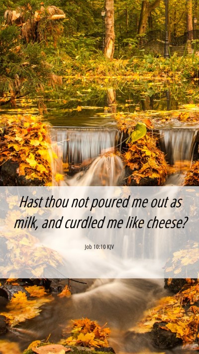 Picture 06 - Job 10:10 KJV Mobile Phone Wallpaper - Hast thou not poured me out as milk, and curdled - Mobile Bible Verse Wallpaper