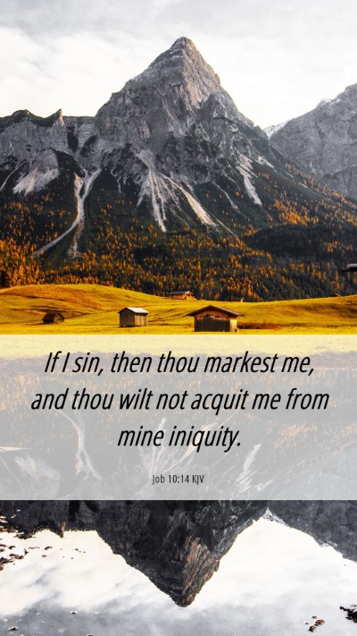 Picture 06 - Job 10:14 KJV Mobile Phone Wallpaper - If I sin, then thou markest me, and thou wilt not - Mobile Bible Verse Wallpaper