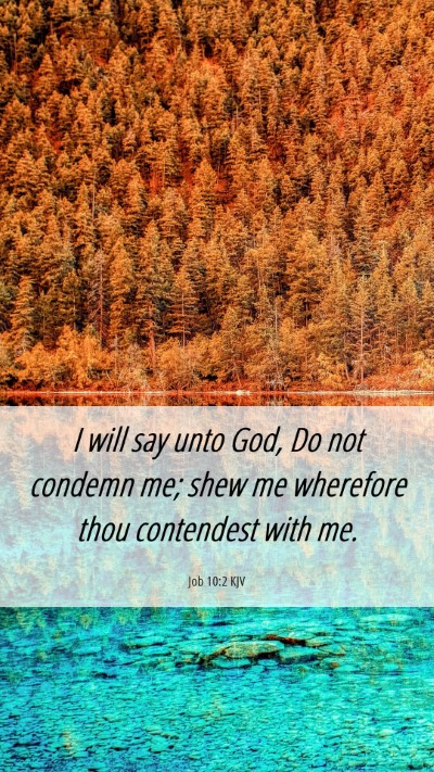 Picture 06 - Job 10:2 KJV Mobile Phone Wallpaper - I will say unto God, Do not condemn me; shew me - Mobile Bible Verse Wallpaper