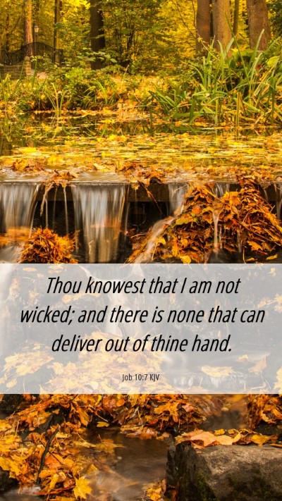 Picture 06 - Job 10:7 KJV Mobile Phone Wallpaper - Thou knowest that I am not wicked; and there is - Mobile Bible Verse Wallpaper