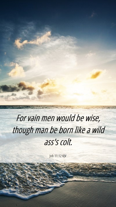Picture 06 - Job 11:12 KJV Mobile Phone Wallpaper - For vain men would be wise, though man be born - Mobile Bible Verse Wallpaper