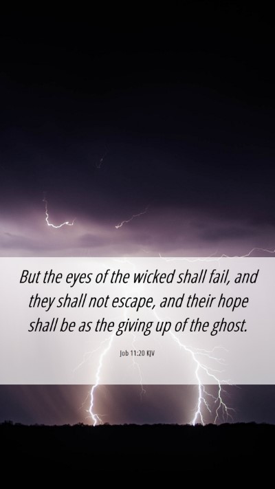 Picture 06 - Job 11:20 KJV Mobile Phone Wallpaper - But the eyes of the wicked shall fail, and they - Mobile Bible Verse Wallpaper