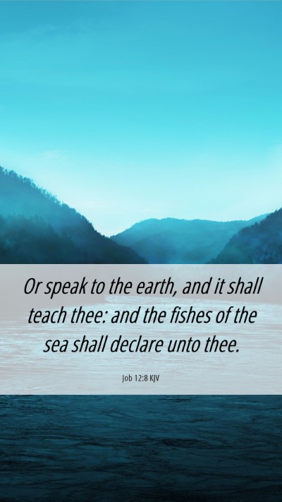 Picture 06 - Job 12:8 KJV Mobile Phone Wallpaper - Or speak to the earth, and it shall teach thee: - Mobile Bible Verse Wallpaper