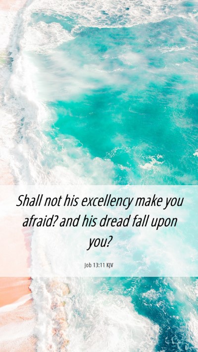Picture 06 - Job 13:11 KJV Mobile Phone Wallpaper - Shall not his excellency make you afraid? and his - Mobile Bible Verse Wallpaper