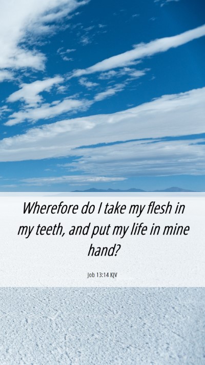 Picture 06 - Job 13:14 KJV Mobile Phone Wallpaper - Wherefore do I take my flesh in my teeth, and put - Mobile Bible Verse Wallpaper