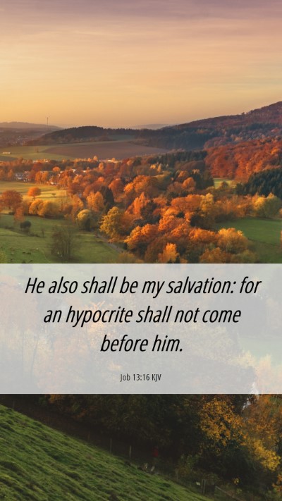Picture 06 - Job 13:16 KJV Mobile Phone Wallpaper - He also shall be my salvation: for an hypocrite - Mobile Bible Verse Wallpaper