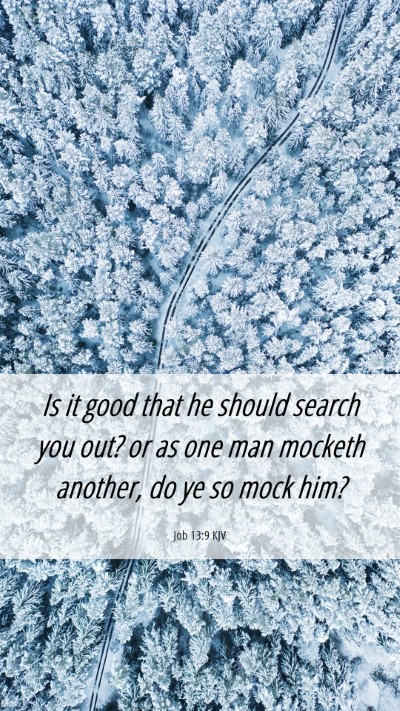 Picture 06 - Job 13:9 KJV Mobile Phone Wallpaper - Is it good that he should search you out? or as - Mobile Bible Verse Wallpaper