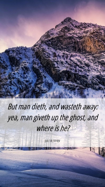 Picture 06 - Job 14:10 KJV Mobile Phone Wallpaper - But man dieth, and wasteth away: yea, man giveth - Mobile Bible Verse Wallpaper
