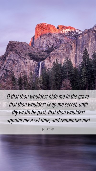 Picture 06 - Job 14:13 KJV Mobile Phone Wallpaper - O that thou wouldest hide me in the grave, that - Mobile Bible Verse Wallpaper