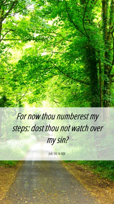 Picture 06 - Job 14:16 KJV Mobile Phone Wallpaper - For now thou numberest my steps: dost thou not - Mobile Bible Verse Wallpaper