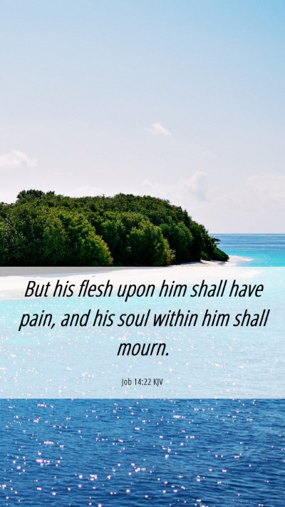 Picture 06 - Job 14:22 KJV Mobile Phone Wallpaper - But his flesh upon him shall have pain, and his - Mobile Bible Verse Wallpaper