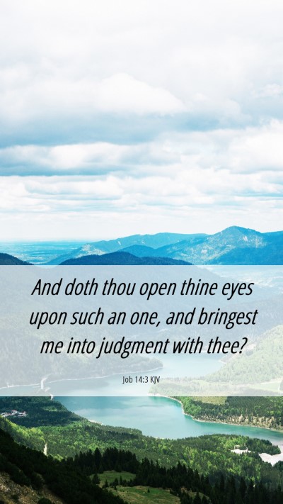 Picture 06 - Job 14:3 KJV Mobile Phone Wallpaper - And doth thou open thine eyes upon such an one, - Mobile Bible Verse Wallpaper