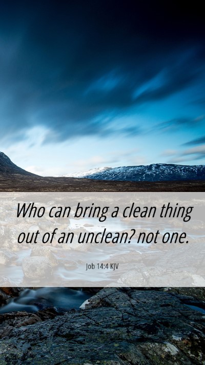 Picture 06 - Job 14:4 KJV Mobile Phone Wallpaper - Who can bring a clean thing out of an unclean? - Mobile Bible Verse Wallpaper