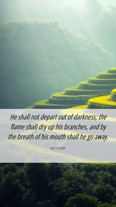 Picture 06 - Job 15:30 KJV Mobile Phone Wallpaper - He shall not depart out of darkness; the flame - Mobile Bible Verse Wallpaper