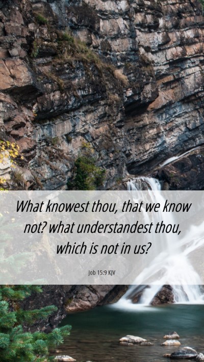 Picture 06 - Job 15:9 KJV Mobile Phone Wallpaper - What knowest thou, that we know not? what - Mobile Bible Verse Wallpaper