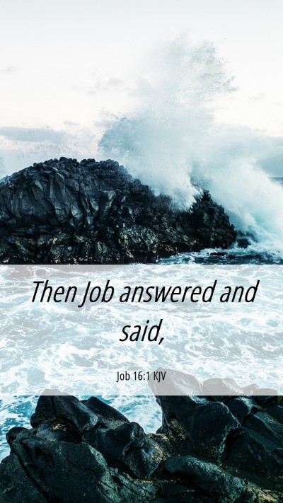 Picture 06 - Job 16:1 KJV Mobile Phone Wallpaper - Then Job answered and - Mobile Bible Verse Wallpaper