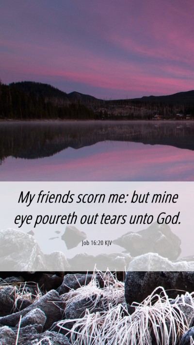 Picture 06 - Job 16:20 KJV Mobile Phone Wallpaper - My friends scorn me: but mine eye poureth out - Mobile Bible Verse Wallpaper