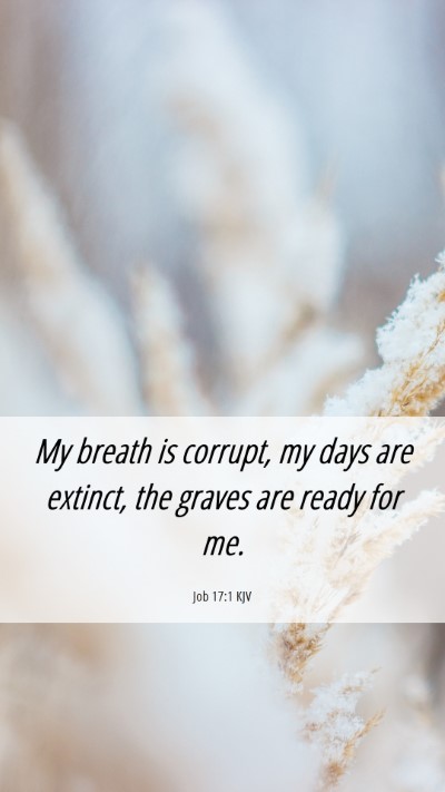 Picture 06 - Job 17:1 KJV Mobile Phone Wallpaper - My breath is corrupt, my days are extinct, the - Mobile Bible Verse Wallpaper