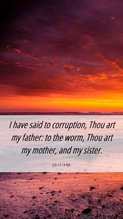 Picture 06 - Job 17:14 KJV Mobile Phone Wallpaper - I have said to corruption, Thou art my father: to - Mobile Bible Verse Wallpaper