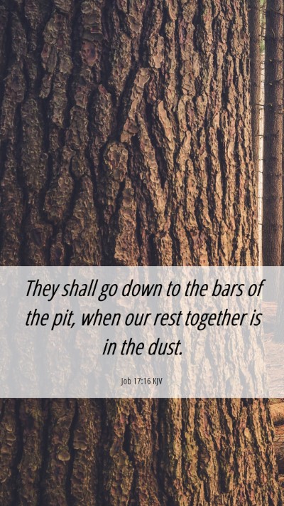 Picture 06 - Job 17:16 KJV Mobile Phone Wallpaper - They shall go down to the bars of the pit, when - Mobile Bible Verse Wallpaper