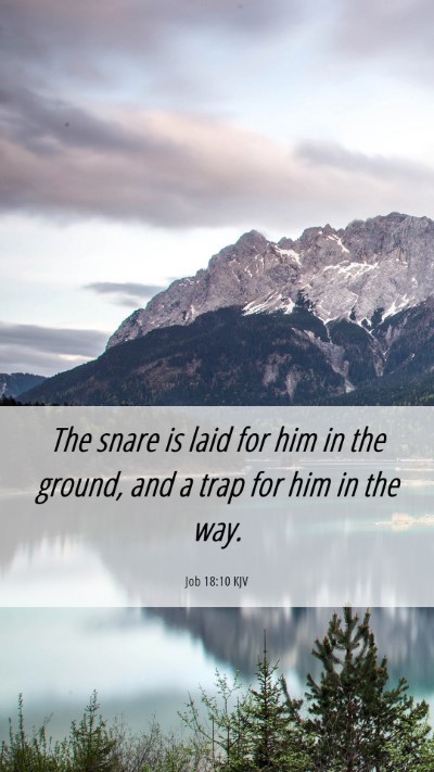 Picture 06 - Job 18:10 KJV Mobile Phone Wallpaper - The snare is laid for him in the ground, and a - Mobile Bible Verse Wallpaper