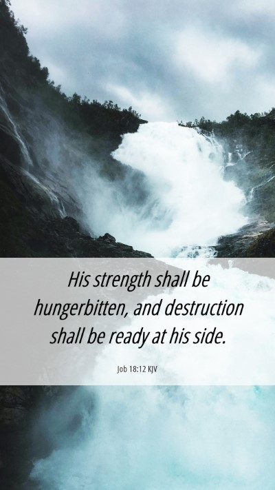 Picture 06 - Job 18:12 KJV Mobile Phone Wallpaper - His strength shall be hungerbitten, and - Mobile Bible Verse Wallpaper