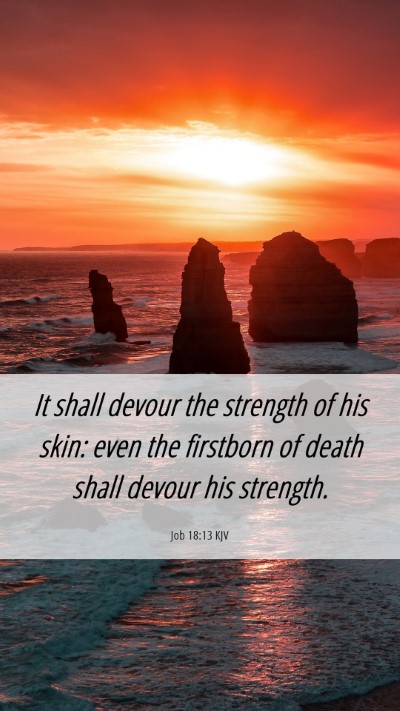 Picture 06 - Job 18:13 KJV Mobile Phone Wallpaper - It shall devour the strength of his skin: even - Mobile Bible Verse Wallpaper
