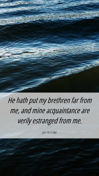 Picture 06 - Job 19:13 KJV Mobile Phone Wallpaper - He hath put my brethren far from me, and mine - Mobile Bible Verse Wallpaper