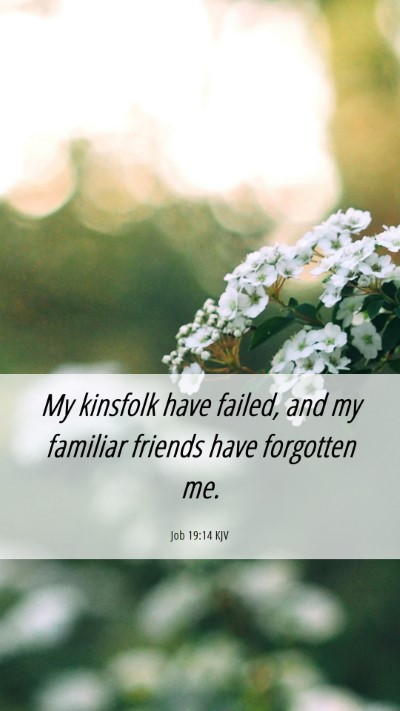 Picture 06 - Job 19:14 KJV Mobile Phone Wallpaper - My kinsfolk have failed, and my familiar friends - Mobile Bible Verse Wallpaper