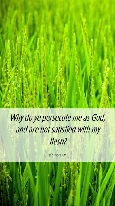 Picture 06 - Job 19:22 KJV Mobile Phone Wallpaper - Why do ye persecute me as God, and are not - Mobile Bible Verse Wallpaper