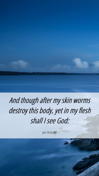 Picture 06 - Job 19:26 KJV Mobile Phone Wallpaper - And though after my skin worms destroy this body, - Mobile Bible Verse Wallpaper