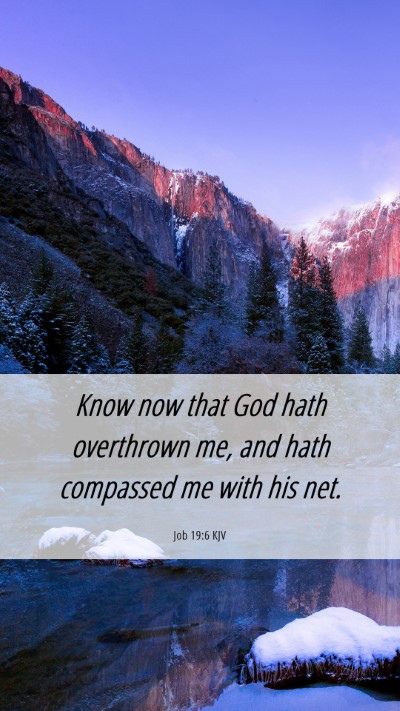 Picture 06 - Job 19:6 KJV Mobile Phone Wallpaper - Know now that God hath overthrown me, and hath - Mobile Bible Verse Wallpaper