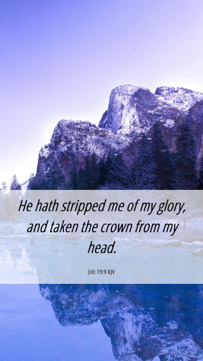 Picture 06 - Job 19:9 KJV Mobile Phone Wallpaper - He hath stripped me of my glory, and taken the - Mobile Bible Verse Wallpaper