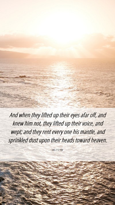 Picture 06 - Job 2:12 KJV Mobile Phone Wallpaper - And when they lifted up their eyes afar off, and - Mobile Bible Verse Wallpaper