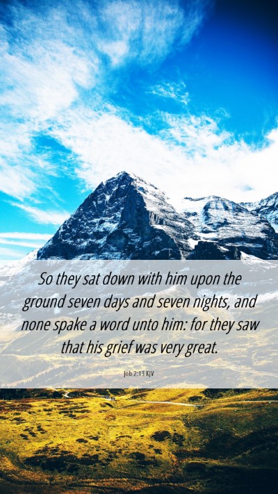 Picture 06 - Job 2:13 KJV Mobile Phone Wallpaper - So they sat down with him upon the ground seven - Mobile Bible Verse Wallpaper