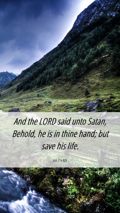 Picture 06 - Job 2:6 KJV Mobile Phone Wallpaper - And the LORD said unto Satan, Behold, he is in - Mobile Bible Verse Wallpaper