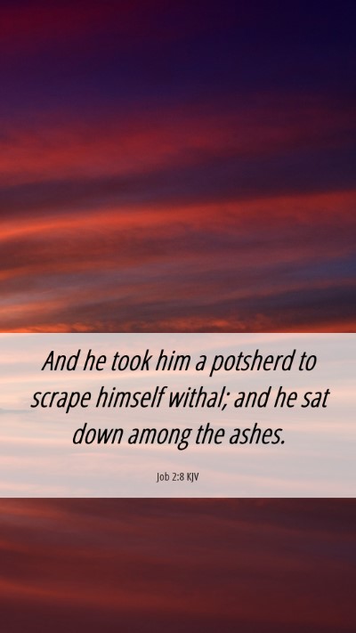 Picture 06 - Job 2:8 KJV Mobile Phone Wallpaper - And he took him a potsherd to scrape himself - Mobile Bible Verse Wallpaper