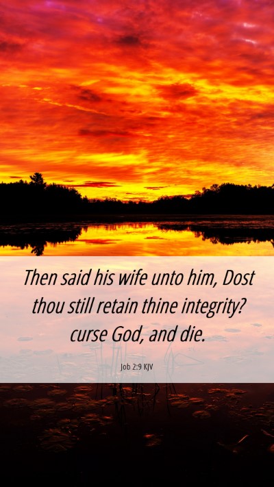 Picture 06 - Job 2:9 KJV Mobile Phone Wallpaper - Then said his wife unto him, Dost thou still - Mobile Bible Verse Wallpaper