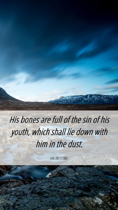 Picture 06 - Job 20:11 KJV Mobile Phone Wallpaper - His bones are full of the sin of his youth, which - Mobile Bible Verse Wallpaper