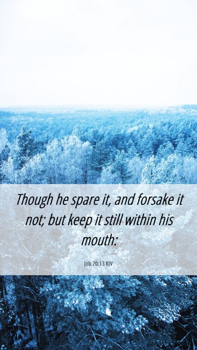 Picture 06 - Job 20:13 KJV Mobile Phone Wallpaper - Though he spare it, and forsake it not; but keep - Mobile Bible Verse Wallpaper
