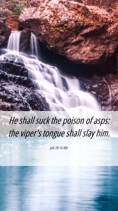 Picture 06 - Job 20:16 KJV Mobile Phone Wallpaper - He shall suck the poison of asps: the viper's - Mobile Bible Verse Wallpaper