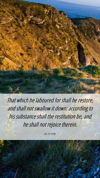 Picture 06 - Job 20:18 KJV Mobile Phone Wallpaper - That which he laboured for shall he restore, and - Mobile Bible Verse Wallpaper