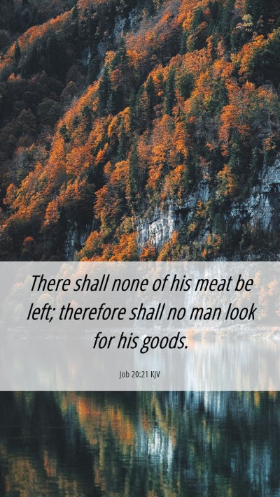 Picture 06 - Job 20:21 KJV Mobile Phone Wallpaper - There shall none of his meat be left; therefore - Mobile Bible Verse Wallpaper