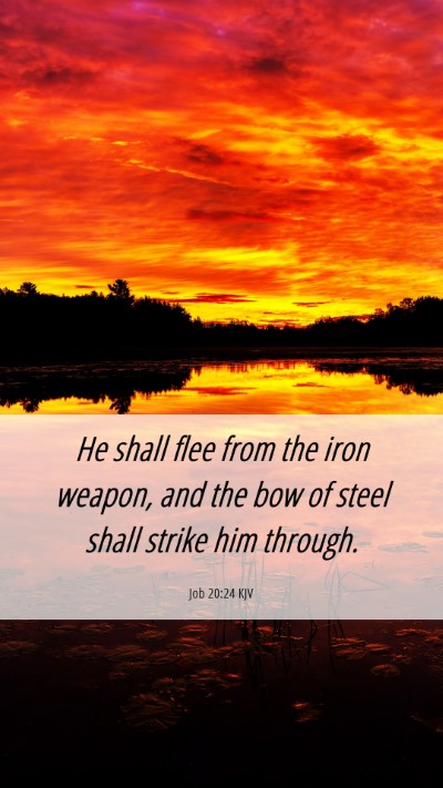 Picture 06 - Job 20:24 KJV Mobile Phone Wallpaper - He shall flee from the iron weapon, and the bow - Mobile Bible Verse Wallpaper