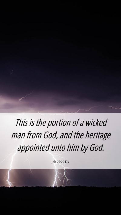 Picture 06 - Job 20:29 KJV Mobile Phone Wallpaper - This is the portion of a wicked man from God, and - Mobile Bible Verse Wallpaper