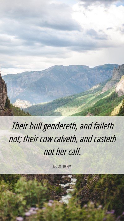 Picture 06 - Job 21:10 KJV Mobile Phone Wallpaper - Their bull gendereth, and faileth not; their cow - Mobile Bible Verse Wallpaper